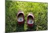 Garden Shoes-Charles Bowman-Mounted Photographic Print