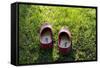 Garden Shoes-Charles Bowman-Framed Stretched Canvas