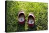 Garden Shoes-Charles Bowman-Stretched Canvas