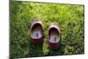 Garden Shoes-Charles Bowman-Mounted Photographic Print