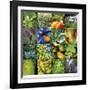 Garden Square Ensemble-Joy Doherty-Framed Giclee Print