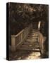 Garden Staircase-Alicia Soave-Stretched Canvas