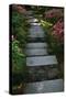 Garden Stairs I-Brian Moore-Stretched Canvas