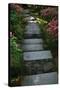 Garden Stairs I-Brian Moore-Stretched Canvas