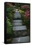 Garden Stairs I-Brian Moore-Framed Stretched Canvas