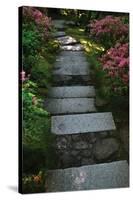 Garden Stairs I-Brian Moore-Stretched Canvas