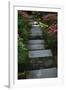 Garden Stairs I-Brian Moore-Framed Premium Photographic Print