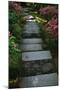 Garden Stairs I-Brian Moore-Mounted Premium Photographic Print