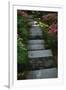 Garden Stairs I-Brian Moore-Framed Photographic Print