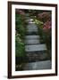 Garden Stairs I-Brian Moore-Framed Photographic Print