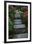 Garden Stairs I-Brian Moore-Framed Photographic Print