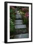 Garden Stairs I-Brian Moore-Framed Photographic Print