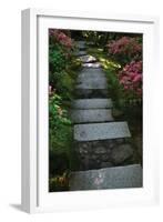 Garden Stairs I-Brian Moore-Framed Photographic Print