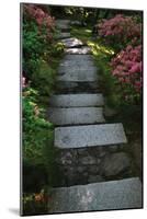 Garden Stairs I-Brian Moore-Mounted Photographic Print