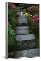 Garden Stairs I-Brian Moore-Framed Photographic Print