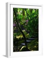 Garden Stairs II-Brian Moore-Framed Photographic Print