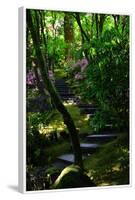 Garden Stairs II-Brian Moore-Framed Photographic Print