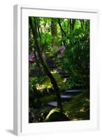 Garden Stairs II-Brian Moore-Framed Photographic Print