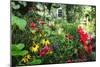 Garden State Dream Garden-George Oze-Mounted Photographic Print