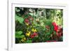 Garden State Dream Garden-George Oze-Framed Photographic Print