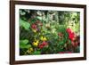 Garden State Dream Garden-George Oze-Framed Photographic Print