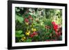 Garden State Dream Garden-George Oze-Framed Photographic Print