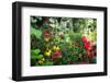 Garden State Dream Garden-George Oze-Framed Premium Photographic Print