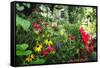 Garden State Dream Garden-George Oze-Framed Stretched Canvas