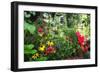 Garden State Dream Garden-George Oze-Framed Photographic Print