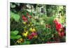 Garden State Dream Garden-George Oze-Framed Photographic Print