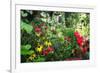 Garden State Dream Garden-George Oze-Framed Photographic Print