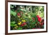 Garden State Dream Garden-George Oze-Framed Photographic Print