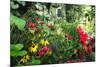 Garden State Dream Garden-George Oze-Mounted Photographic Print