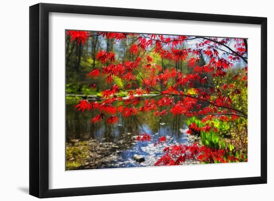 Garden State Spring-George Oze-Framed Photographic Print