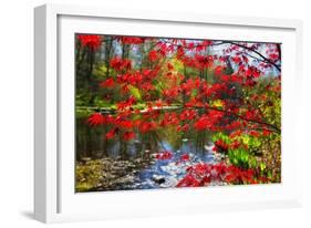 Garden State Spring-George Oze-Framed Photographic Print