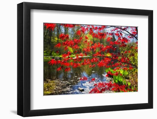 Garden State Spring-George Oze-Framed Photographic Print