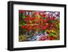 Garden State Spring-George Oze-Framed Photographic Print