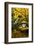 Garden Structure in Fall-neelsky-Framed Photographic Print