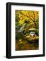 Garden Structure in Fall-neelsky-Framed Photographic Print