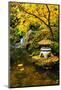 Garden Structure in Fall-neelsky-Mounted Photographic Print