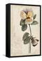 Garden Studies I-Grace Popp-Framed Stretched Canvas