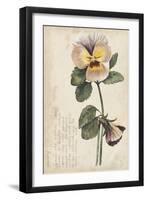 Garden Studies I-Grace Popp-Framed Art Print