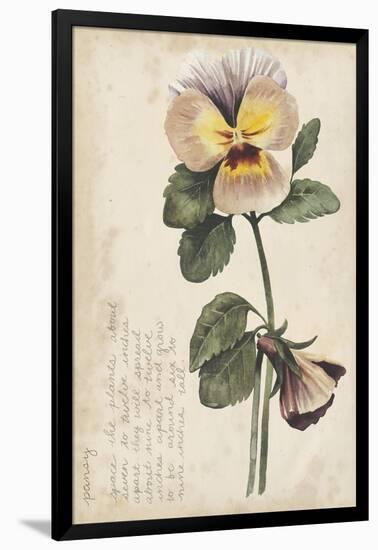 Garden Studies I-Grace Popp-Framed Art Print