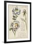 Garden Studies IV-Grace Popp-Framed Art Print