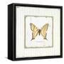 Garden Swallowtail-Jan Cooley-Framed Stretched Canvas