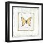 Garden Swallowtail-Jan Cooley-Framed Art Print