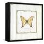 Garden Swallowtail-Jan Cooley-Framed Stretched Canvas