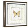 Garden Swallowtail-Jan Cooley-Framed Art Print