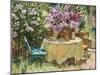 Garden Table with Blue Chair-Piotr Stolerenko-Mounted Art Print