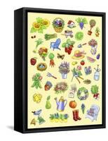 Garden Theme-Geraldine Aikman-Framed Stretched Canvas